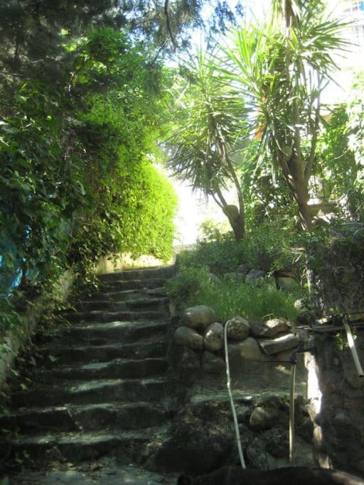 La Rocalla Del Tietar Villa Sotillo de la Adrada Eksteriør billede
